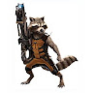 Meet your Posher, Rocket